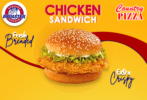 Chicken Sandwich Only